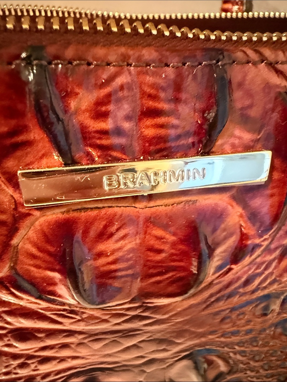Brahmin Bag - New (no tags) - Picture 3 of 3